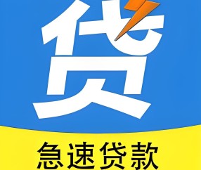 上海时宸金通借款咨询公司